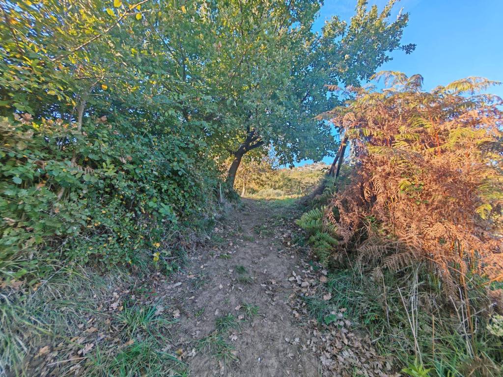 Terreno a Caserta in Via Giuseppe Mirri - Foto 4