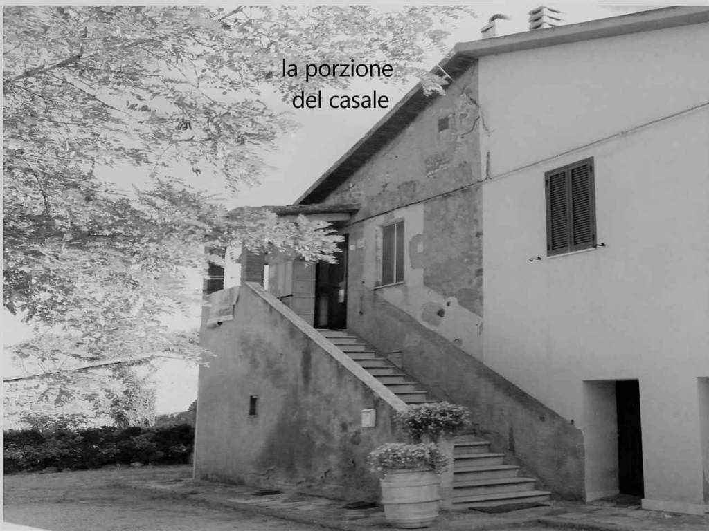 Rustico / casale a Campagnatico in ZONA SAN ANTONIO ARCILLE COMUNE CAMPAGNATICO - Foto 2