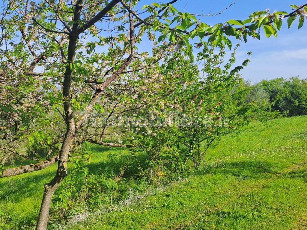 Terreno a Reggello - Foto 2