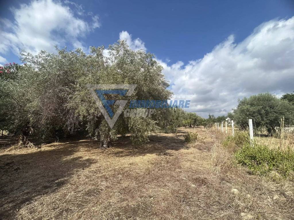 Villa a Siracusa in Traversa Masseria Gargallo - Foto 2