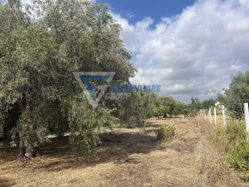 Villa a Siracusa in Traversa Masseria Gargallo - Foto 3