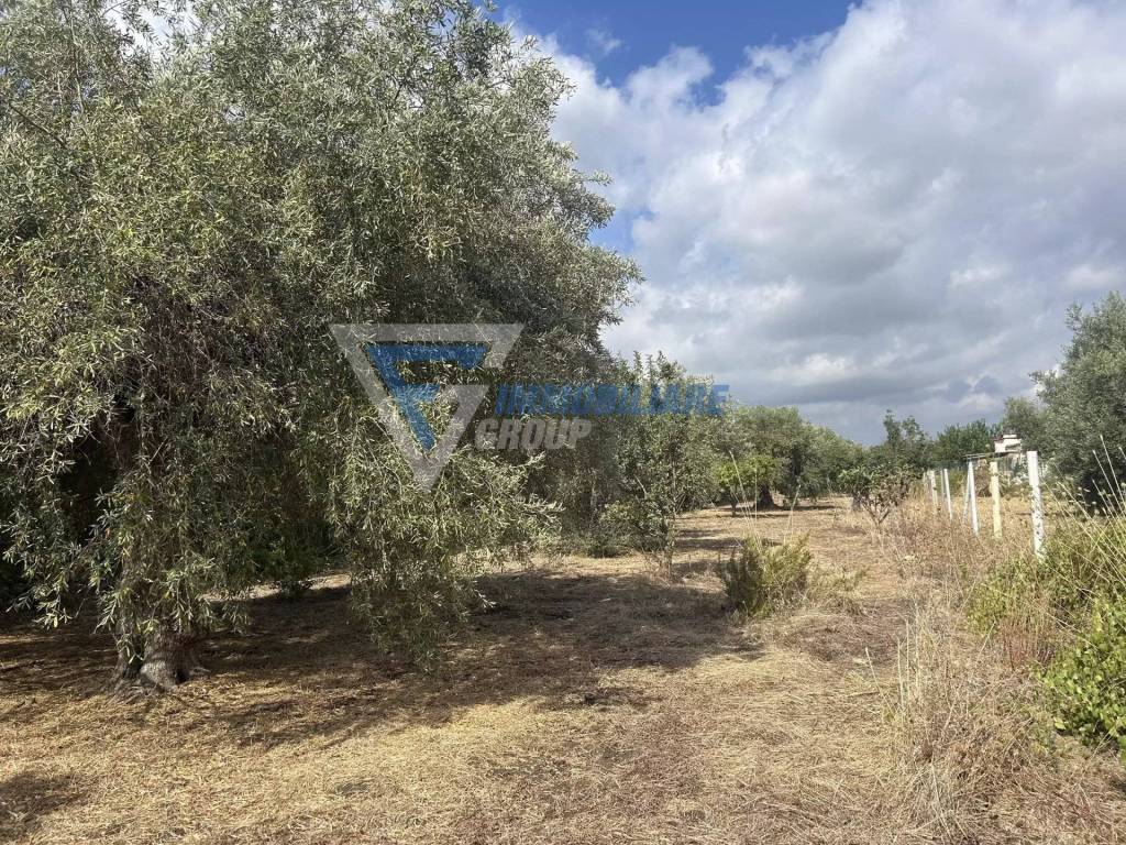 Villa a Siracusa in Traversa Masseria Gargallo - Foto 4