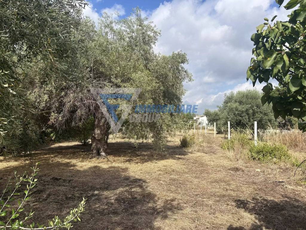 Villa a Siracusa in Traversa Masseria Gargallo - Foto 5