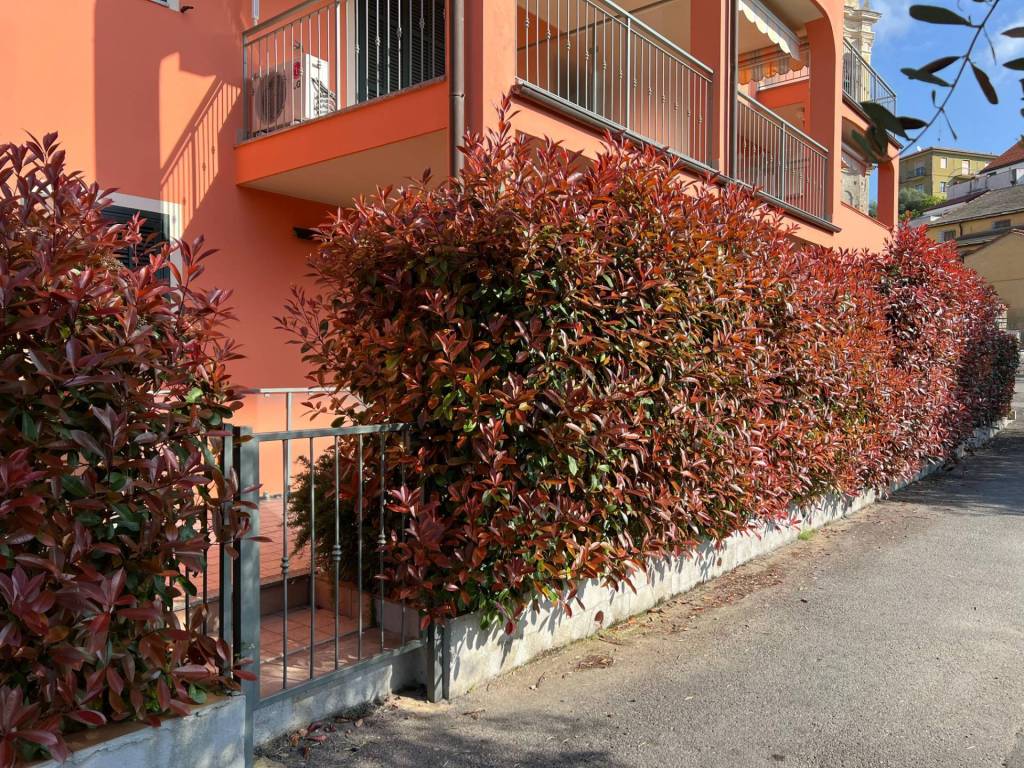 Appartamento a San bartolomeo al mare in Via Pairola - Foto 2