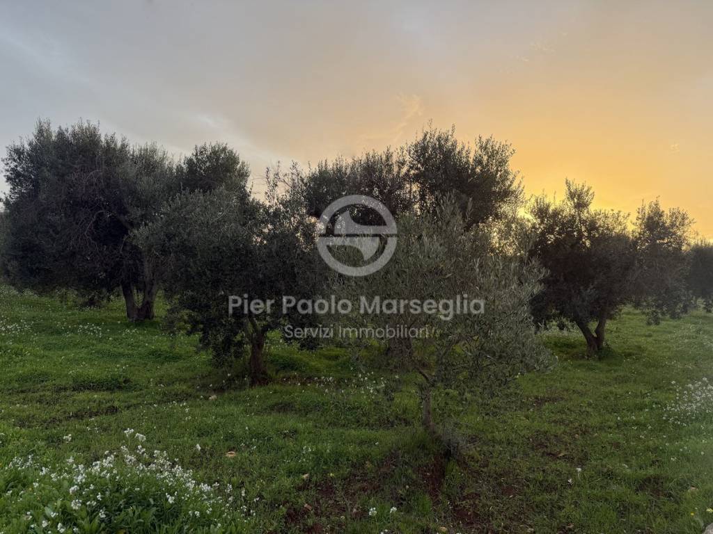 Rustico / casale a Ostuni in Contrada Montelamorte - Foto 2