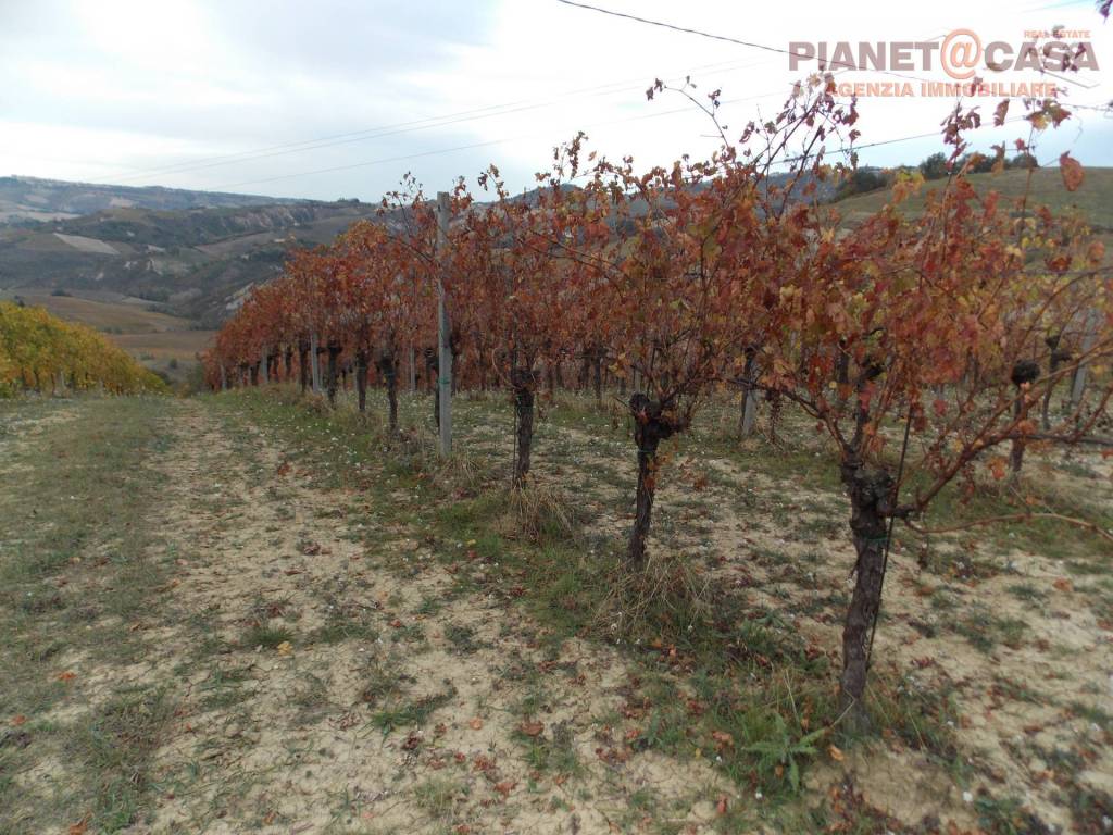 Terreno a Ripatransone in Trivio - Foto 2