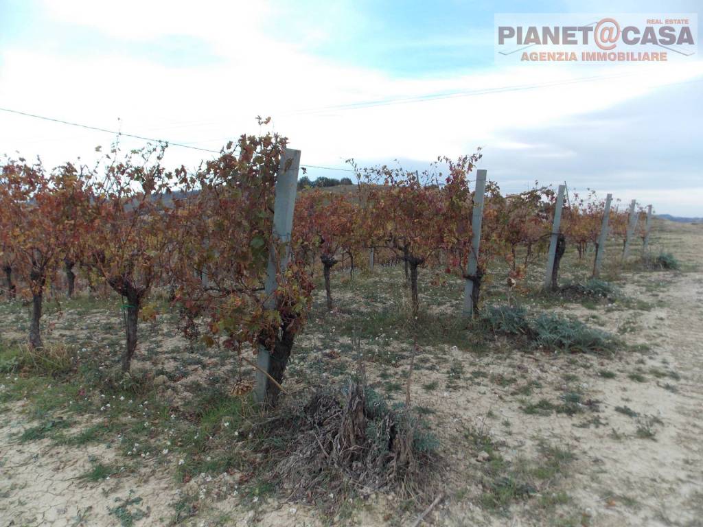 Terreno a Ripatransone in Trivio - Foto 3