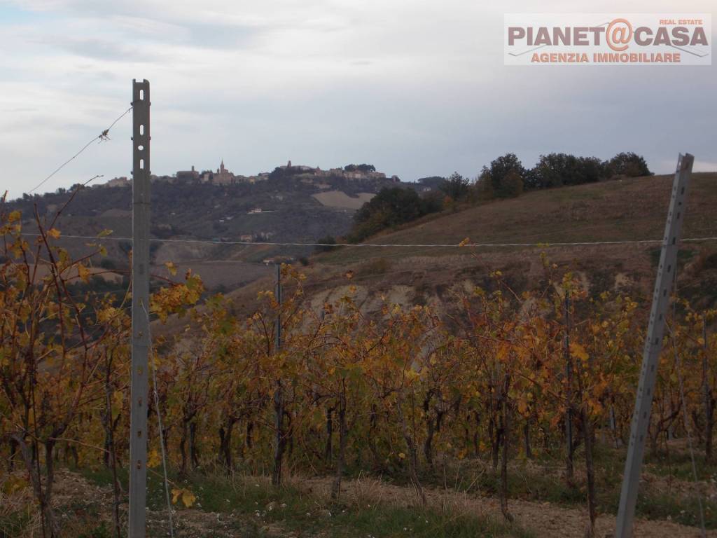 Terreno a Ripatransone in Trivio - Foto 4