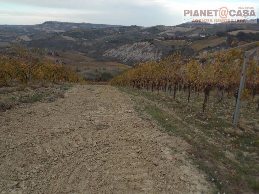 Terreno a Ripatransone in Trivio - Foto 5