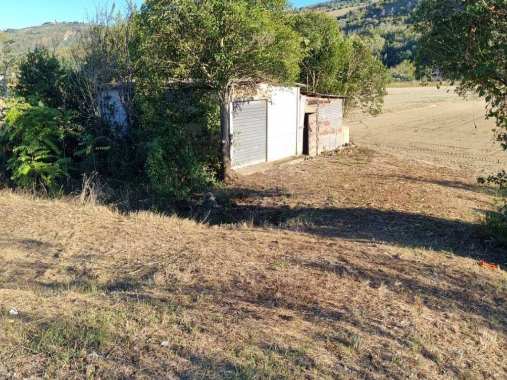 Terreno a Controguerra in Via Piane Tronto- Bonifica - Foto 3
