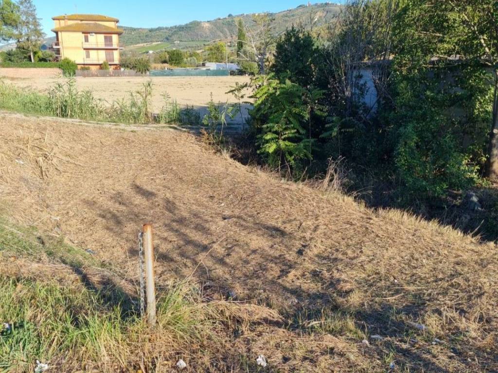 Terreno a Controguerra in Via Piane Tronto- Bonifica - Foto 4