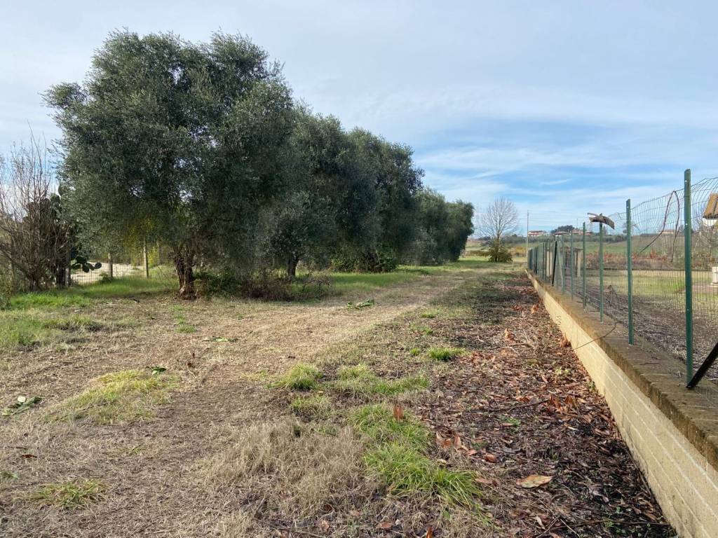 Terreno a Capena in Località Santa Marta - Foto 4