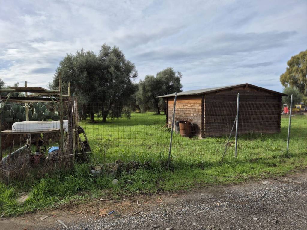 Terreno a Grosseto in via rugginosa, snc - Foto 5