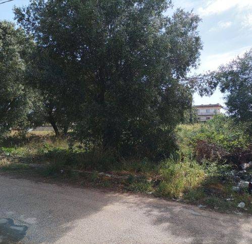 Terreno a Pulsano in Via Luogovivo - Foto 3