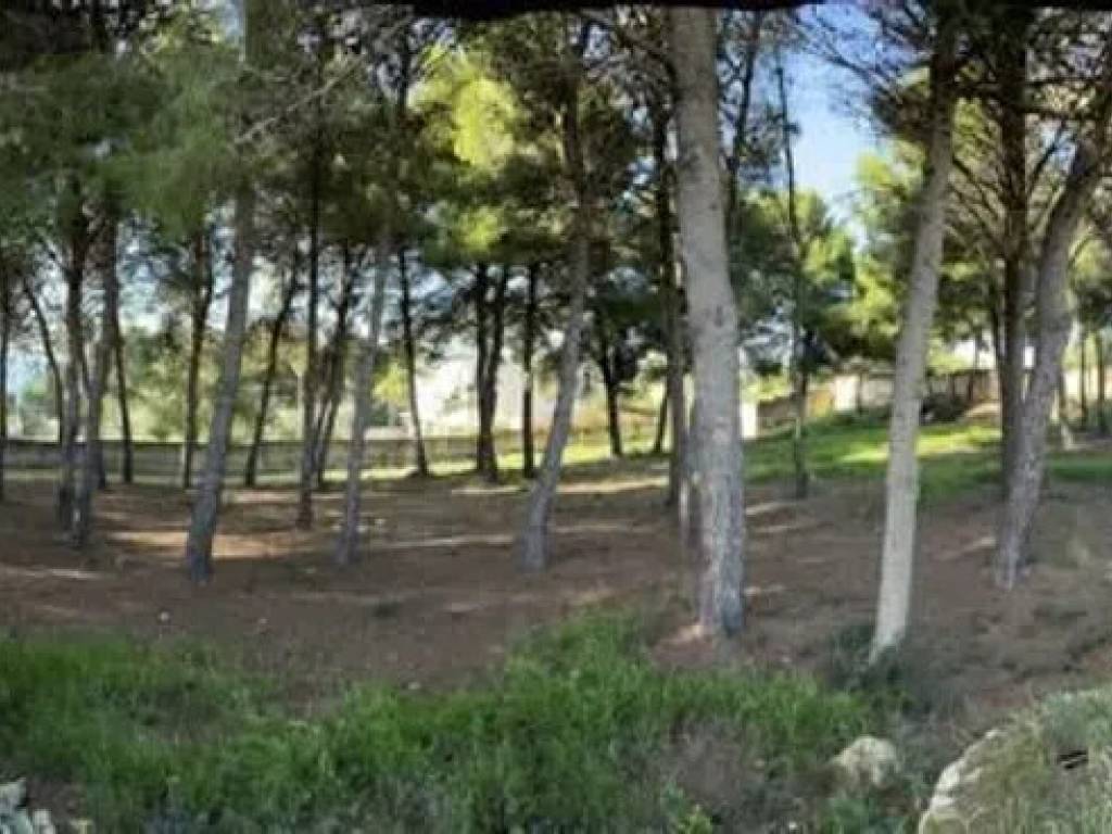 Terreno a Pulsano in Via Dell'Aragosta, 5 - Foto 4