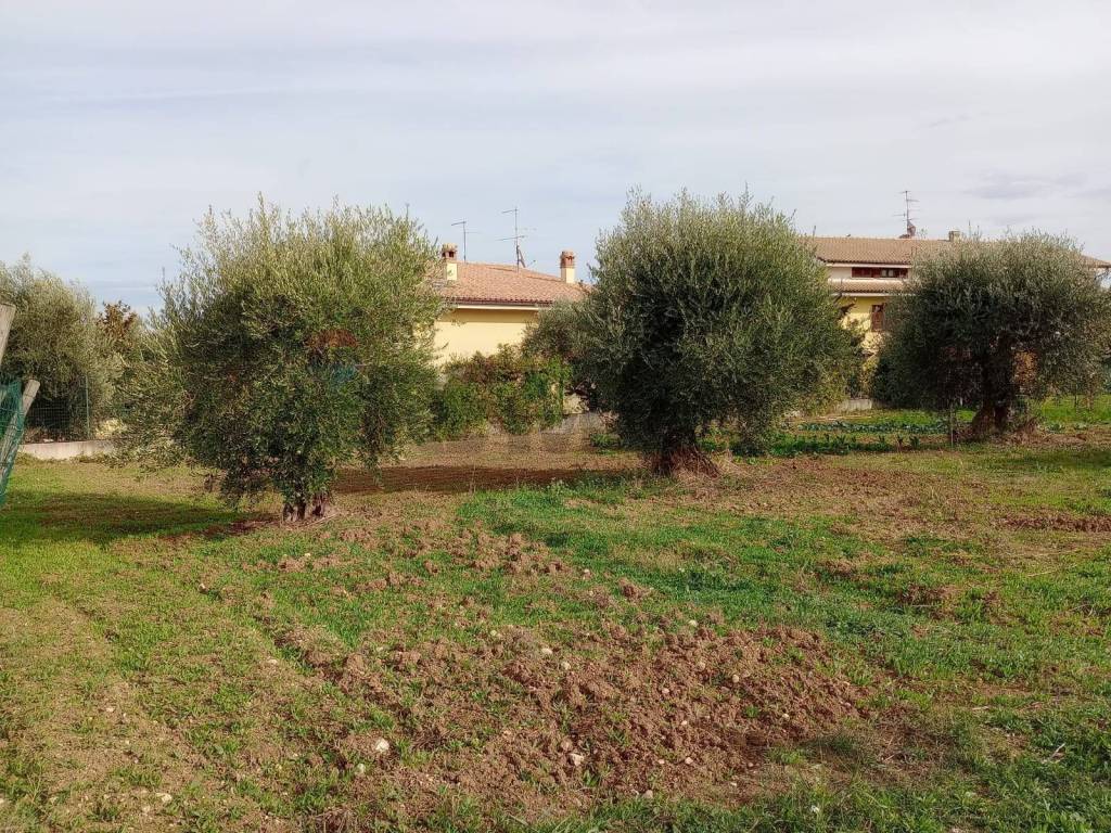 Terreno a Rosciano in via Santa Chiara - Foto 3