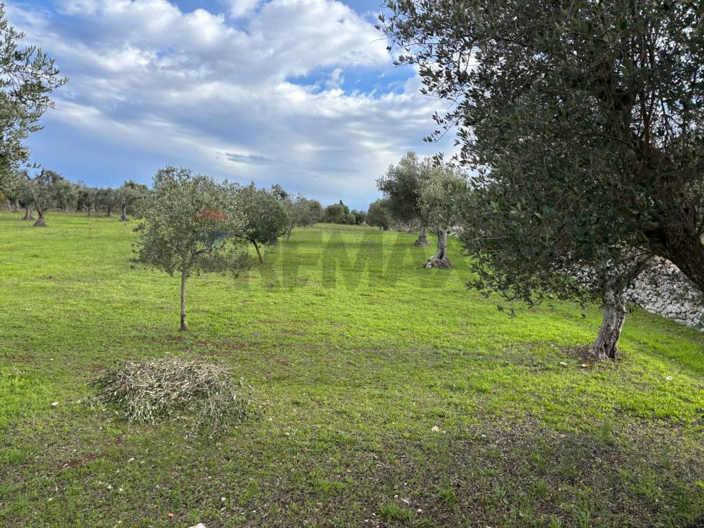 Terreno a Cisternino in Contrada Montanaro - Foto 3