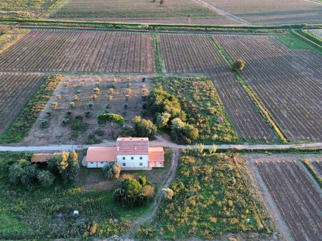 Rustico / casale a Scarlino in Località Pian d'Alma - Foto 4