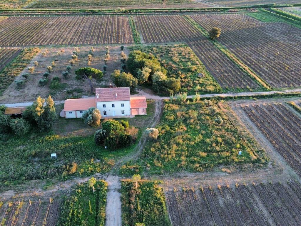 Rustico / casale a Scarlino in Località Pian d'Alma - Foto 5