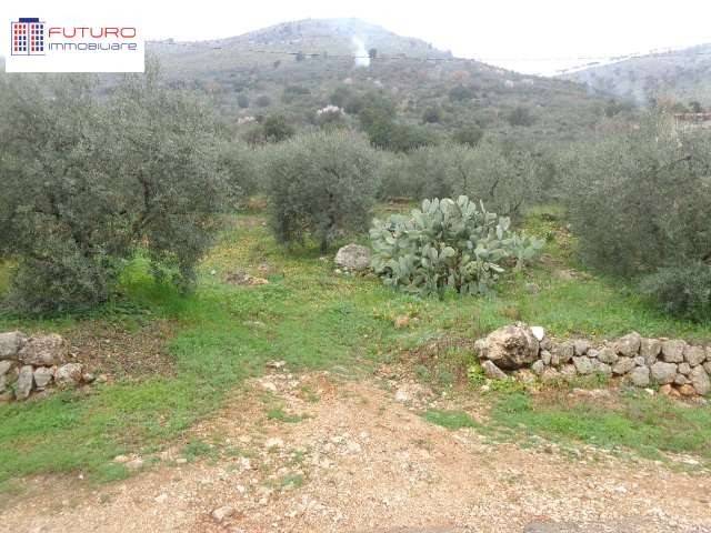 Terreno a Fondi - Foto 5