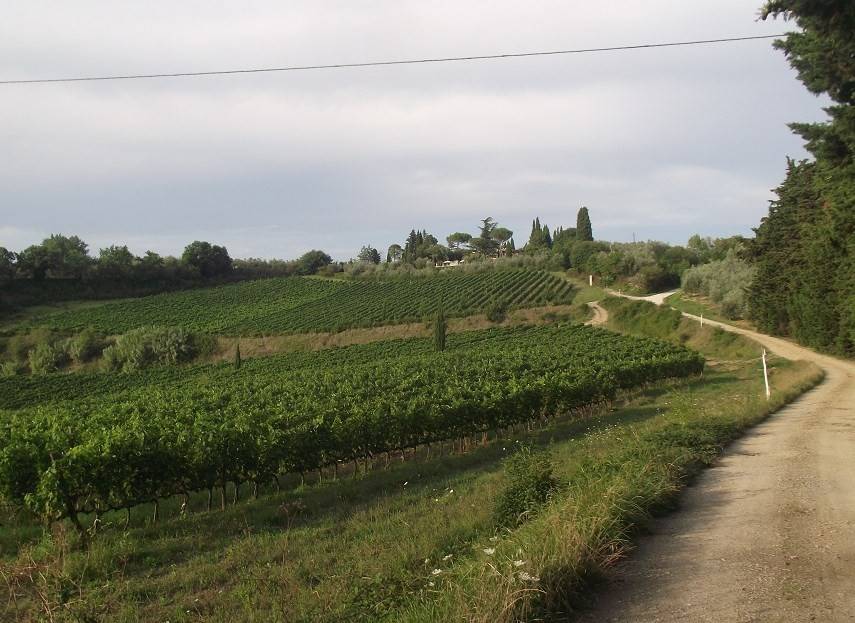 Rustico / casale a San casciano in val di pesa - Foto 2