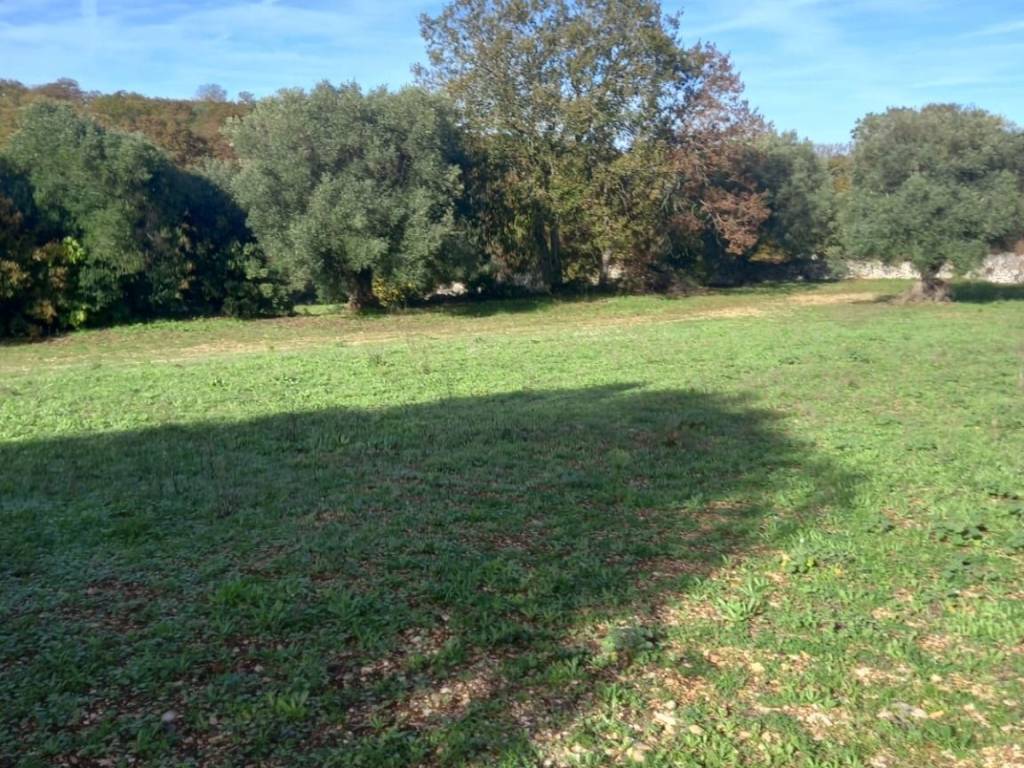 Rustico / casale a Locorotondo in Contrada Chiatante, 10 - Foto 3