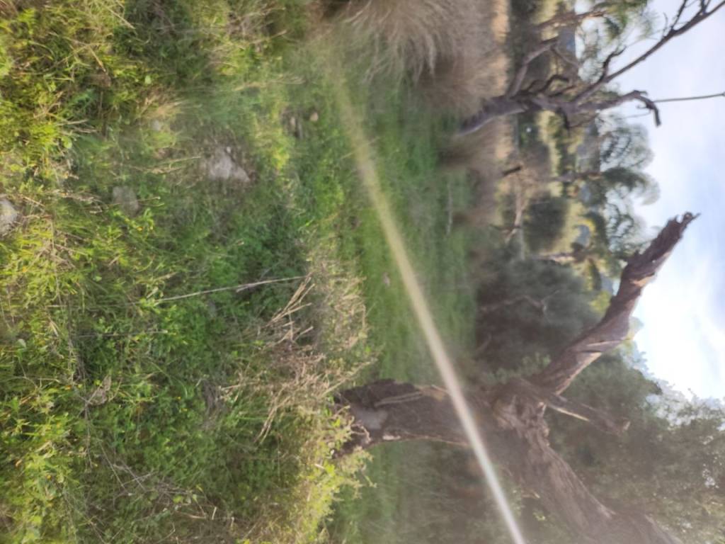 Terreno a Siracusa in Contrada Monasteri - Foto 2