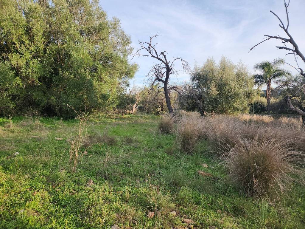 Terreno a Siracusa in Contrada Monasteri - Foto 4
