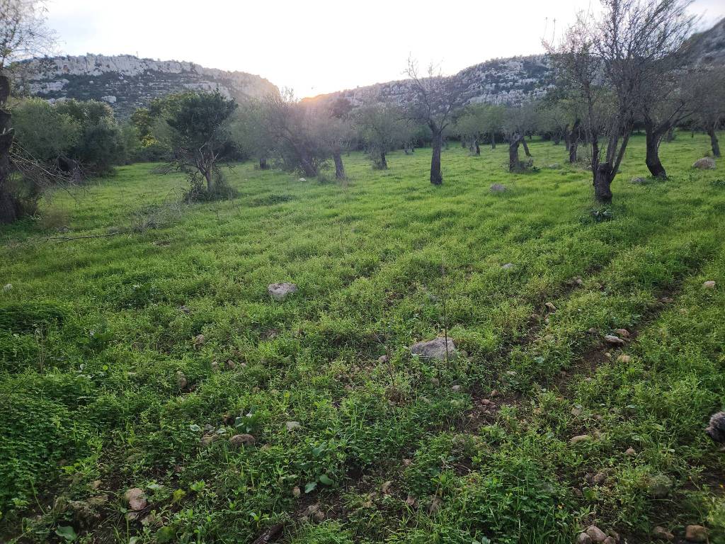 Terreno a Siracusa in Contrada Monasteri - Foto 3