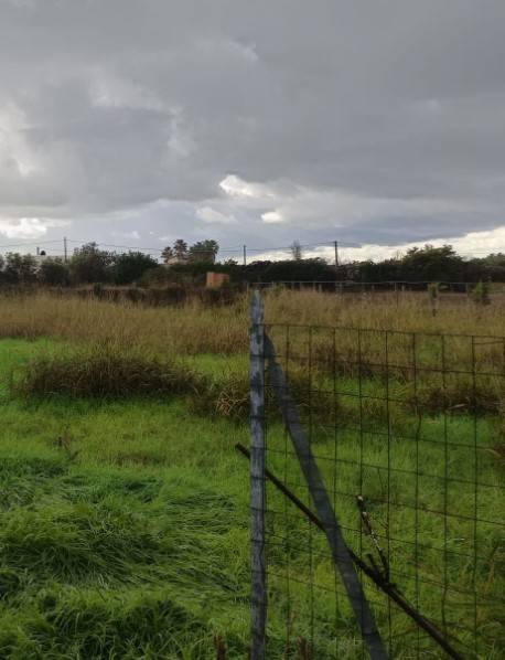 Terreno a Eboli in Contrada Santa Chiarella - Foto 2