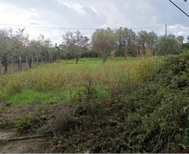 Terreno a Eboli in Contrada Santa Chiarella - Foto 3