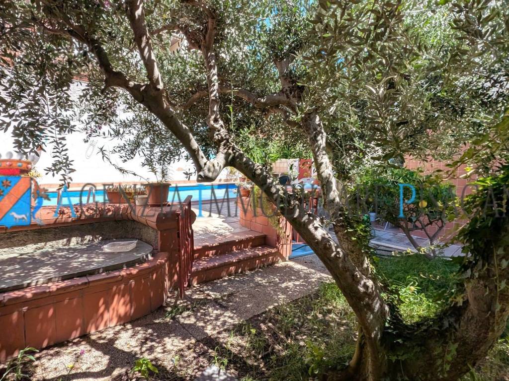 Appartamento a Santa marinella in Via delle Dalie, 16 - Foto 2