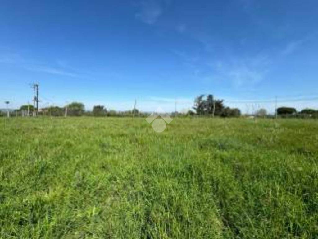 Terreno a Curtarolo in Via dell' amicizia - Foto 3