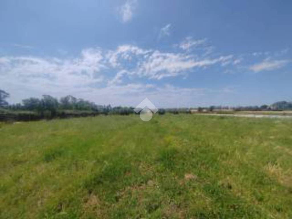 Terreno a Curtarolo in Via dell' amicizia - Foto 4