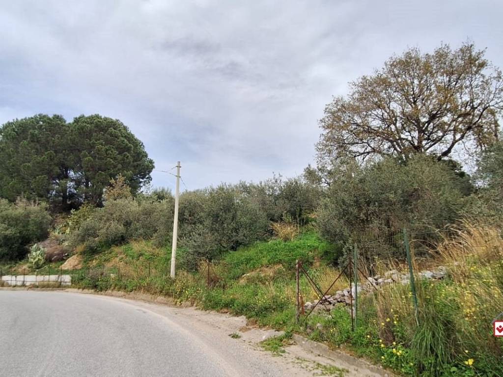 Terreno a Rometta in rometta - Foto 4