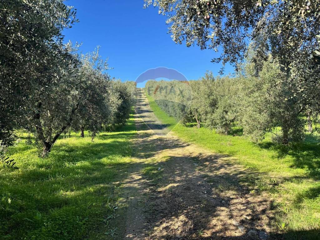 Terreno a Corigliano-rossano in CDA IRPIETRO - Foto 3