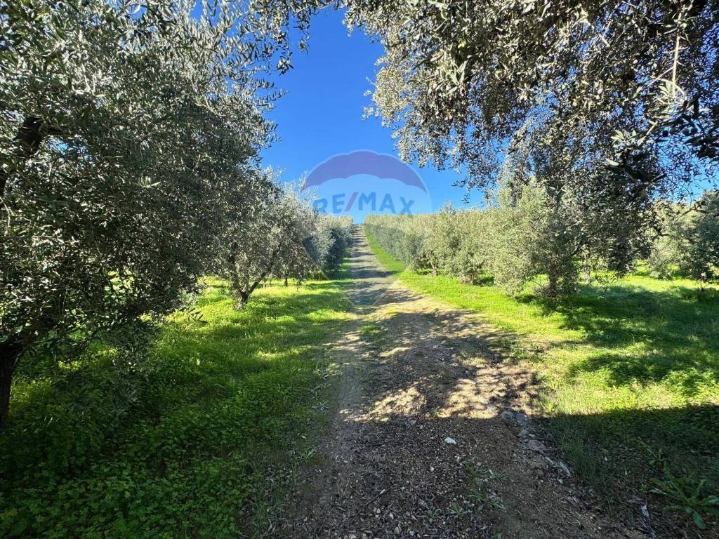 Terreno a Corigliano-rossano in CDA IRPIETRO - Foto 4