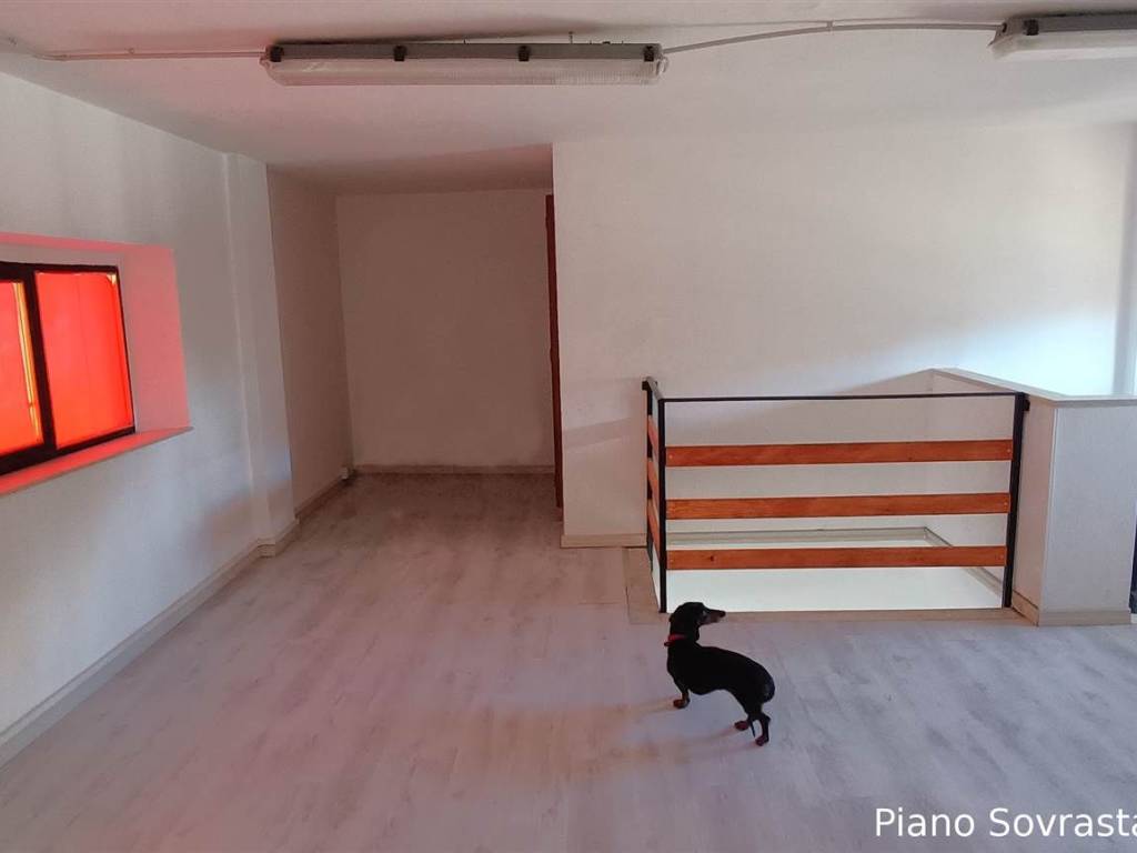 Immobile a Grosseto in ZONA COMEMRCIALE DEL QUARTIERE DI BARBANELLA - Foto 5