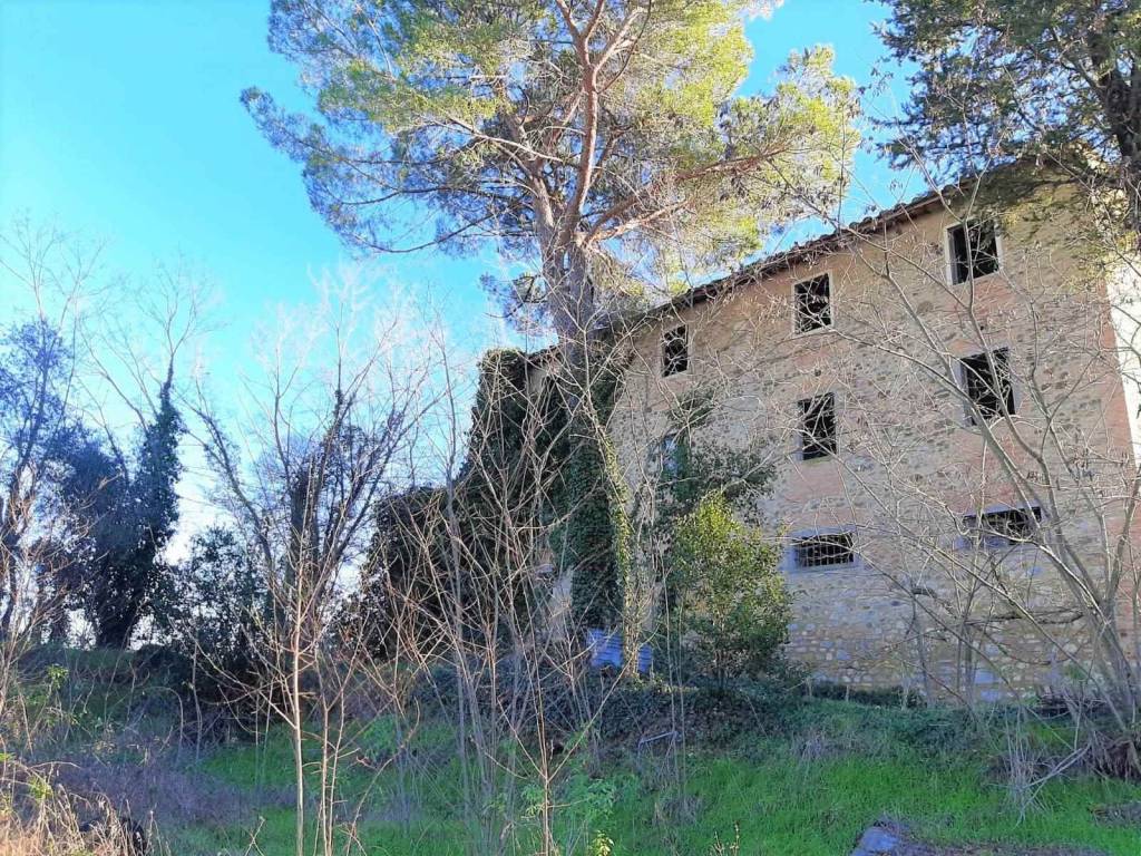 Rustico / casale a Barberino tavarnelle - Foto 2