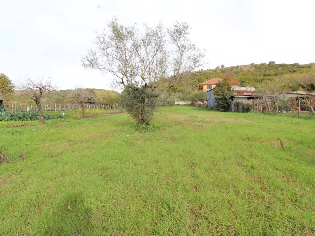 Casa indipendente a Castel morrone - Foto 2