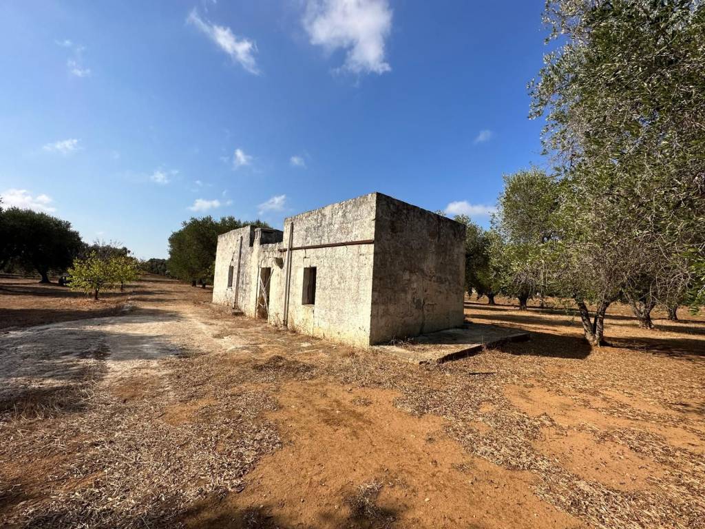 Rustico / casale a Carovigno in SP32 - Foto 2