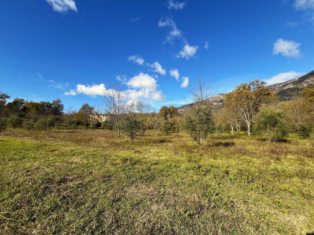 Terreno a Alvito in Strada Provinciale Cominia - Foto 2