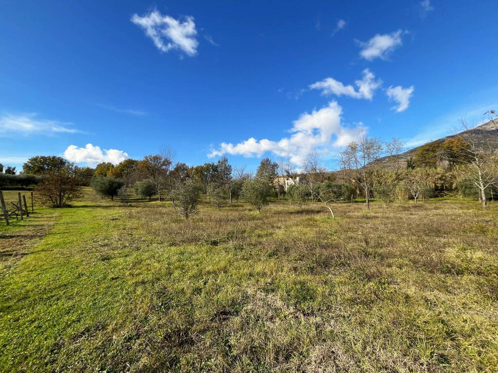 Terreno a Alvito in Strada Provinciale Cominia - Foto 3