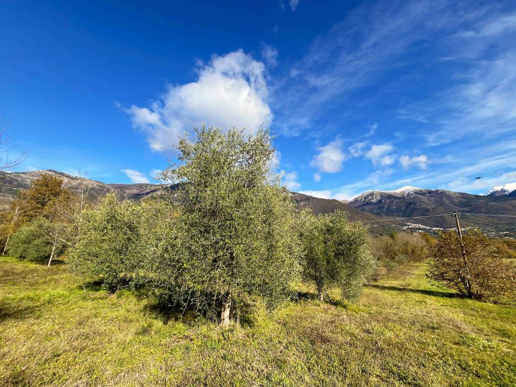 Terreno a Alvito in Strada Provinciale Cominia - Foto 4