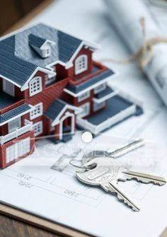 Terreno a Mogliano veneto - Foto 2