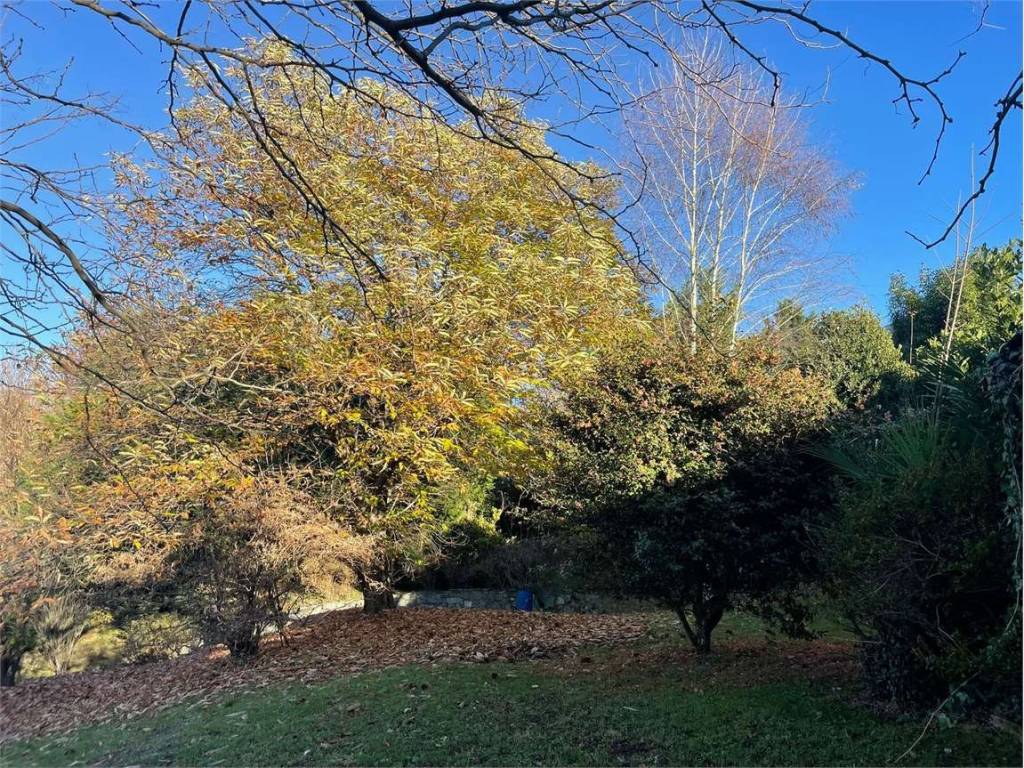 Terreno a Castelletto sopra ticino in via Ticino Panni, 4 - Foto 3