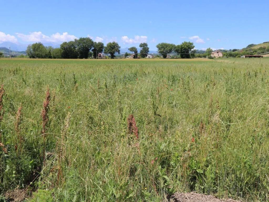 Terreno a Montegiorgio in Contrada Piane Di Monteverde No Number - Foto 4