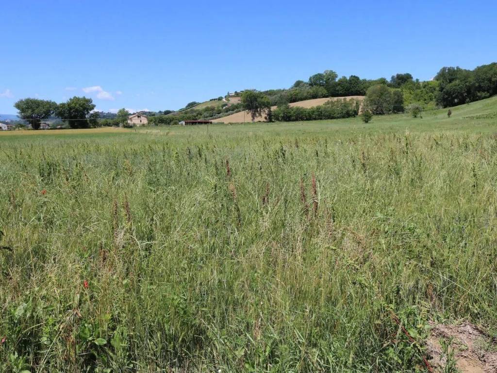 Terreno a Montegiorgio in Contrada Piane Di Monteverde No Number - Foto 5