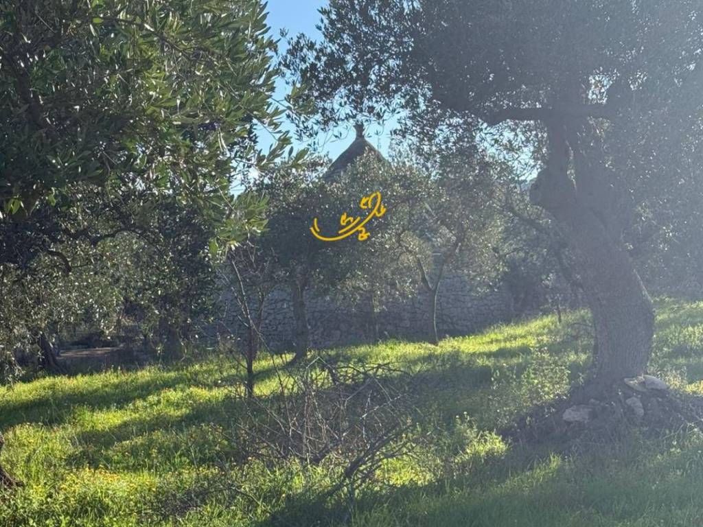 Rustico / casale a Polignano a mare in Strada Comunale Monte Della Vecchia - Foto 3