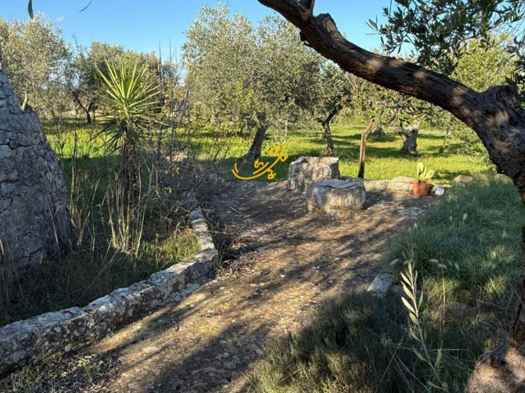Rustico / casale a Polignano a mare in Strada Comunale Monte Della Vecchia - Foto 5
